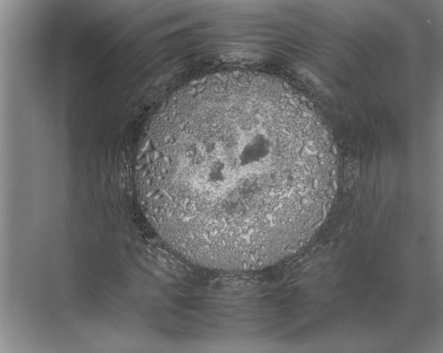 X0000074970917200609221819