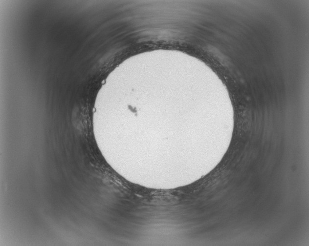 X0000074970918200609221819