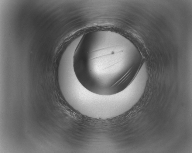 X0000074970920200609221819