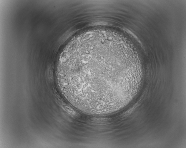 X0000074970921200609221819