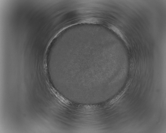 X0000074970923200609221819