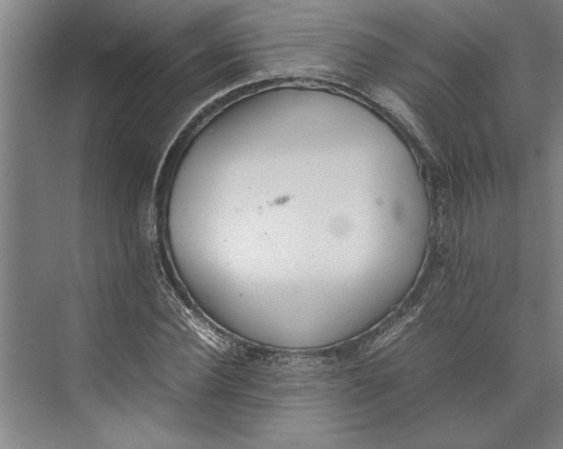 X0000074970924200609221819