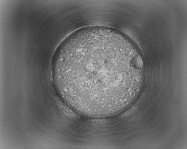 X0000074970925200609221819