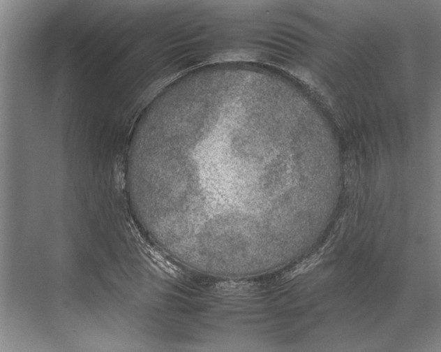 X0000074970929200609221819