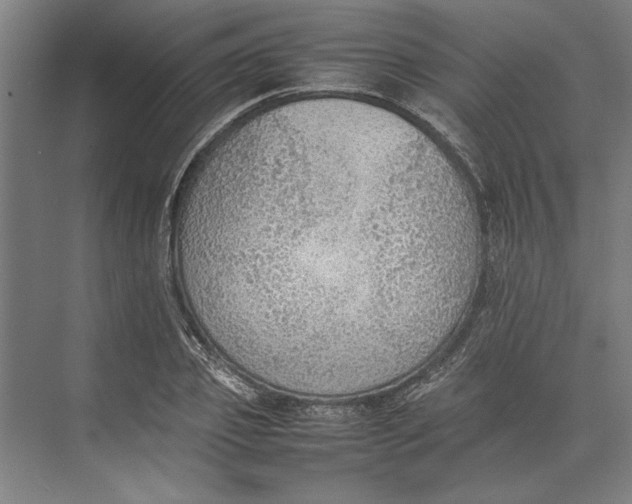 X0000074970933200609221819