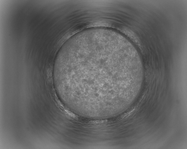 X0000074970937200609221819