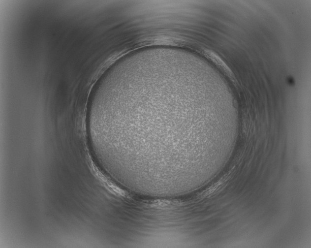 X0000074970938200609221819