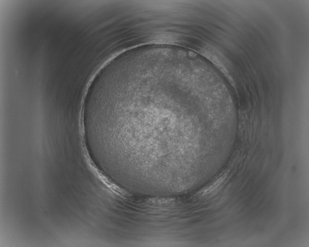 X0000074970939200609221819