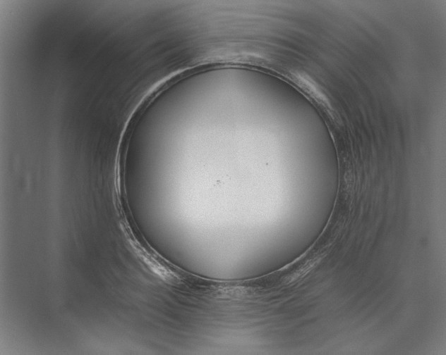 X0000074970940200609221819