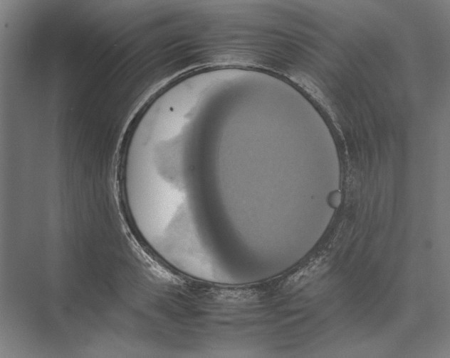 X0000074970941200609221819