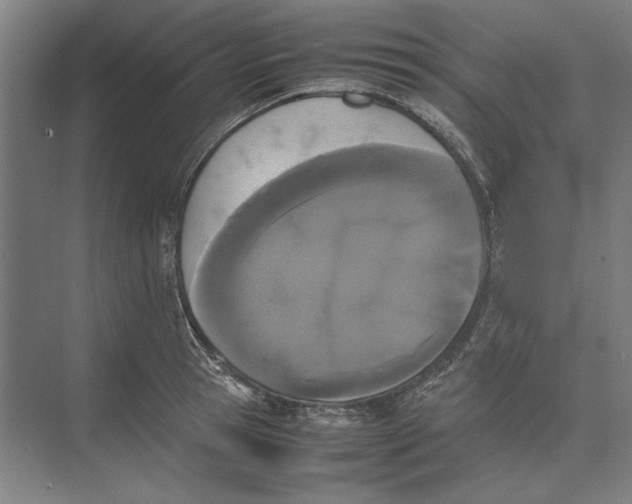 X0000074970945200609221819