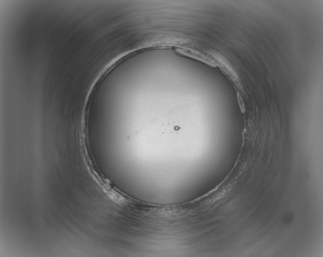 X0000074970948200609221819