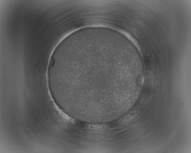 X0000074970951200609221819