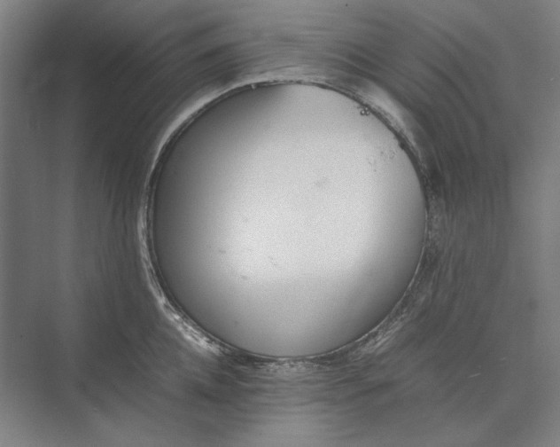 X0000074970952200609221819