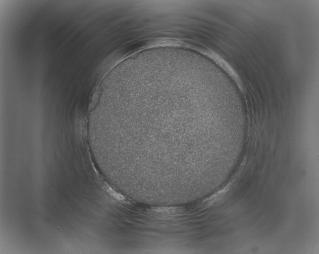 X0000074970953200609221819