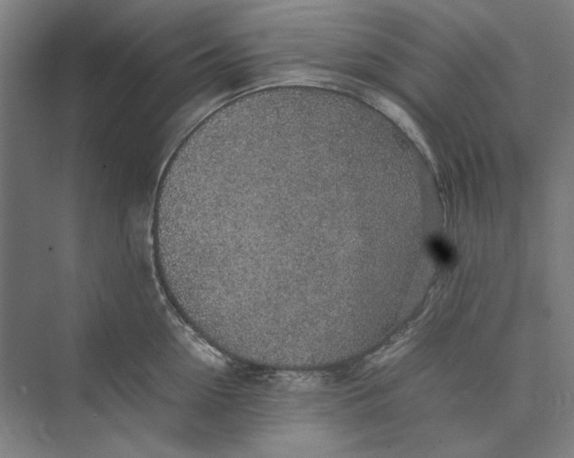 X0000074970954200609221819