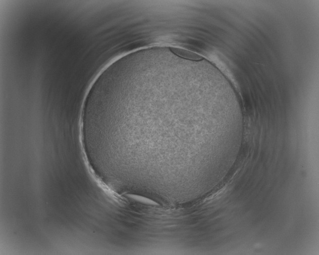 X0000074970955200609221819