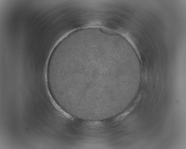 X0000074970957200609221819