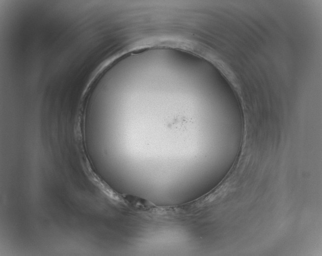 X0000074970960200609221820