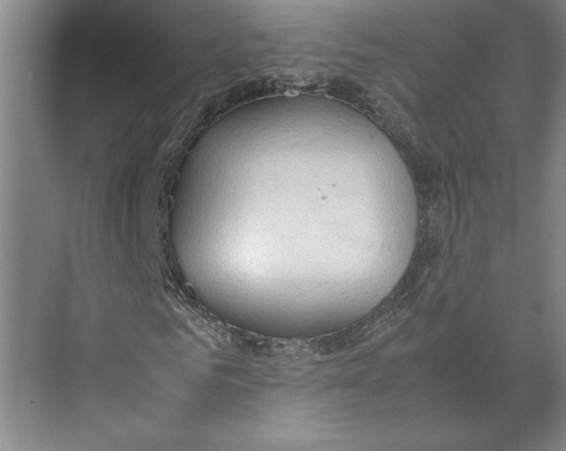 X0000074970961200609221819