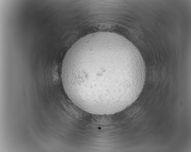 X0000074970962200609221819