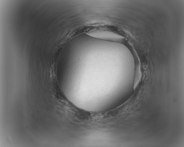 X0000074970965200609221819