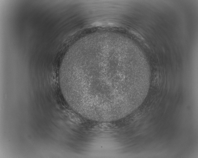 X0000074970966200609221819