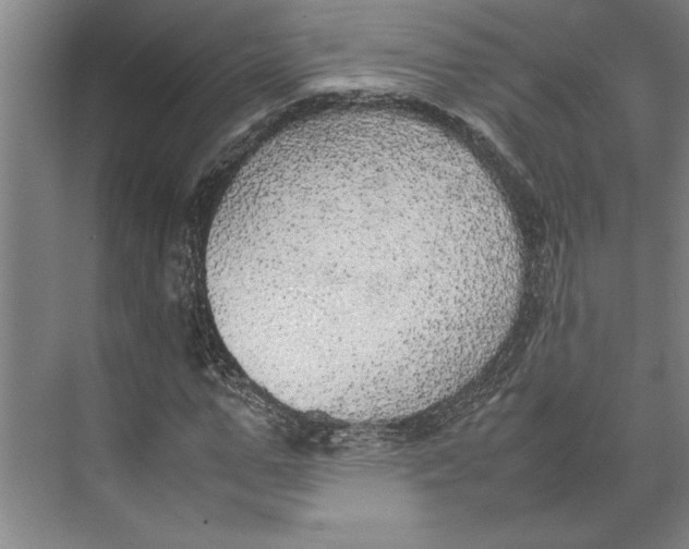 X0000074970967200609221819