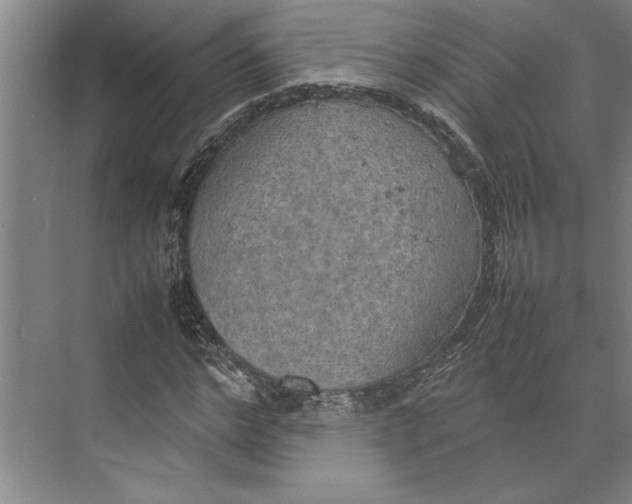 X0000074970968200609221819