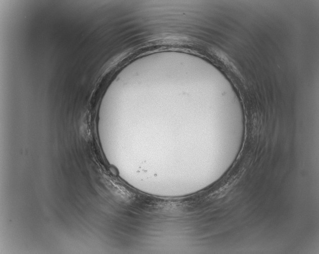 X0000074970970200609221819