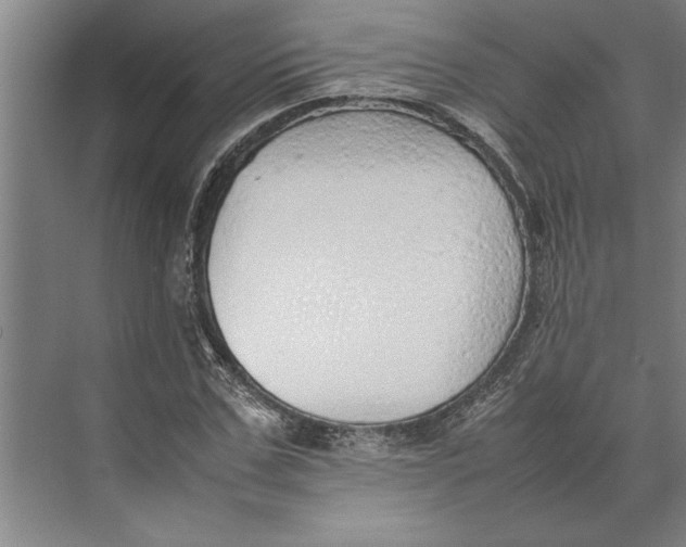 X0000074970971200609221819