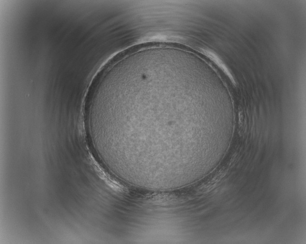 X0000074970972200609221819