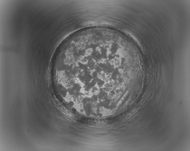 X0000074970975200609221818