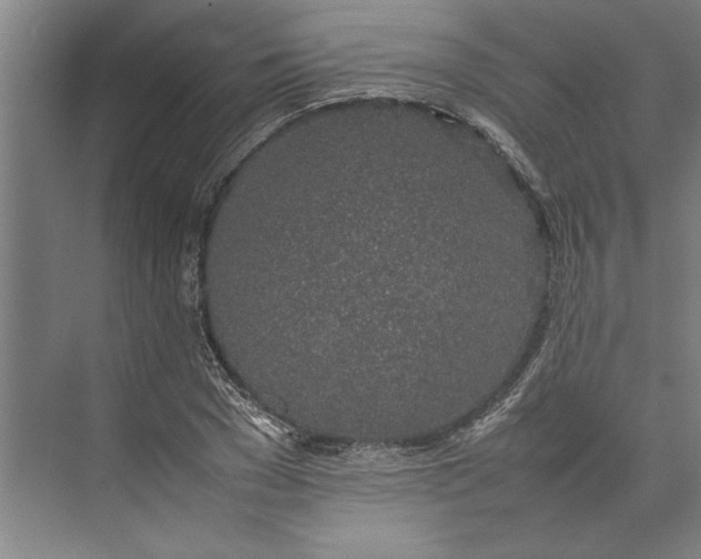 X0000074970977200609221818