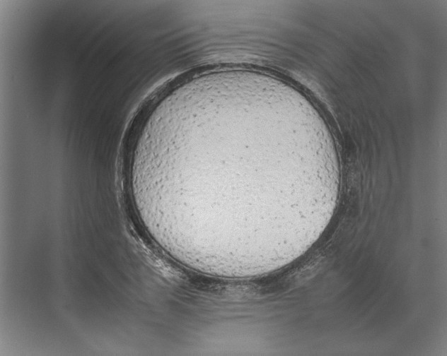 X0000074970979200609221818