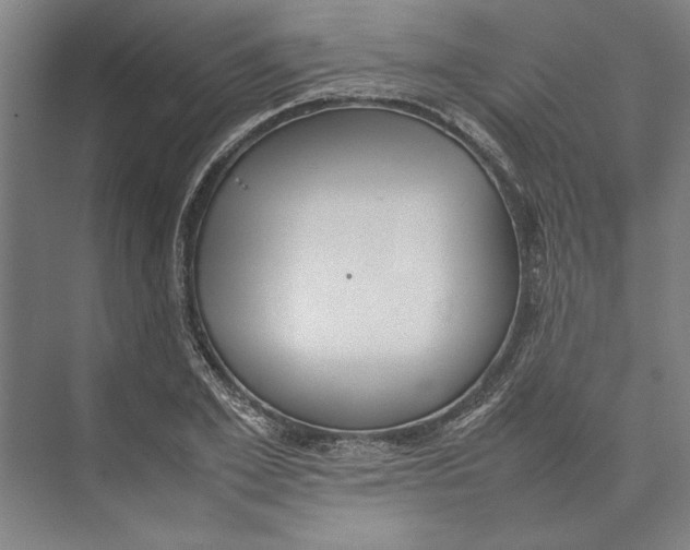 X0000074970981200609221818