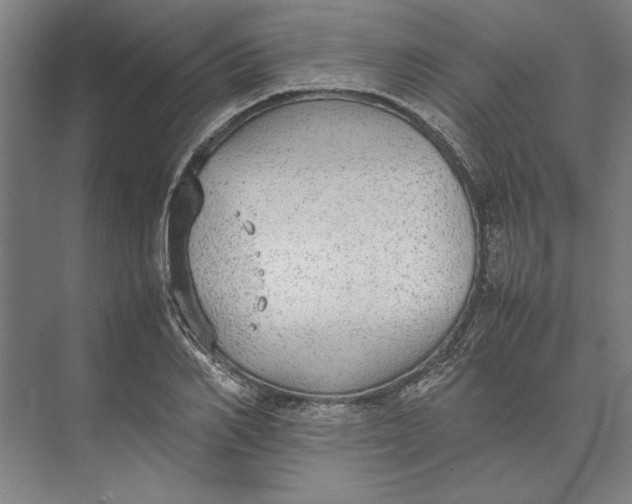 X0000074970982200609221818