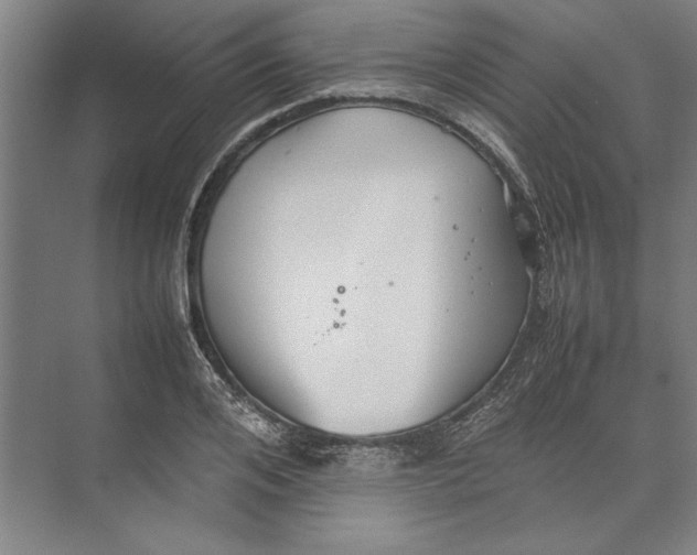 X0000074970984200609221818