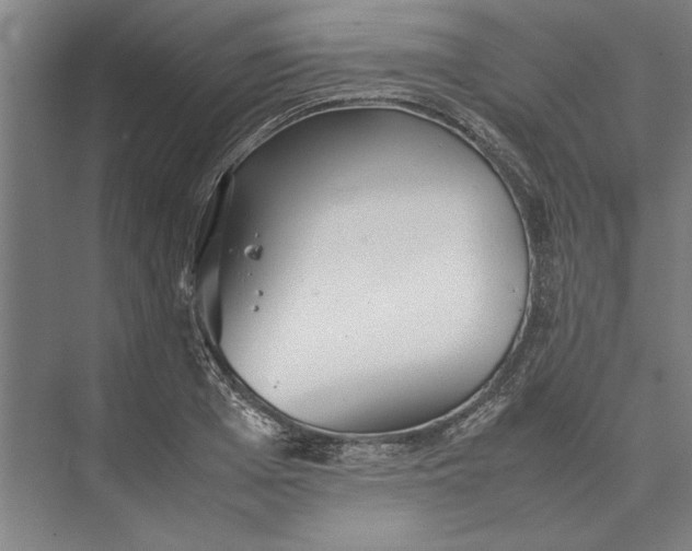 X0000074970985200609221818