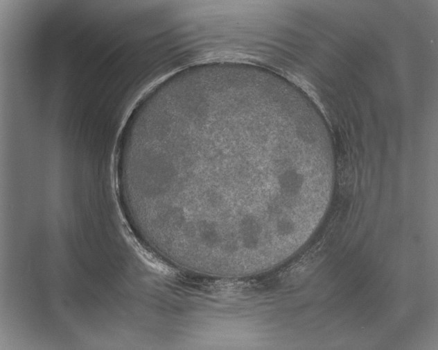 X0000074970987200609221818