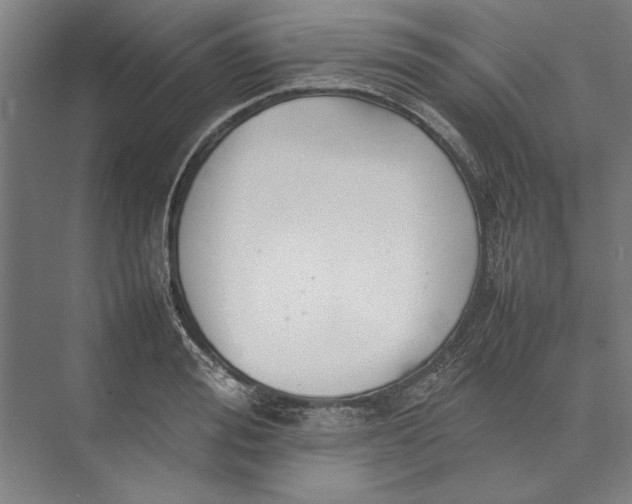 X0000074970988200609221818