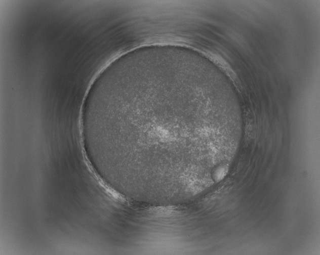 X0000074970990200609221818