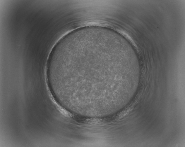 X0000074970991200609221818