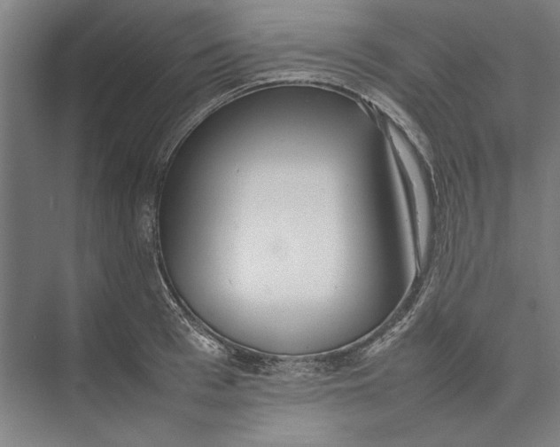 X0000074970993200609221818