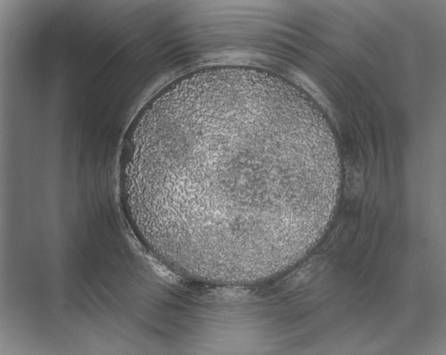 X0000074970994200609221818