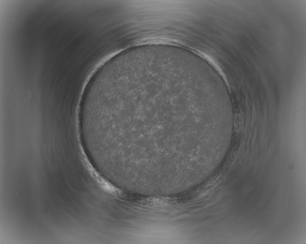 X0000074970995200609221818