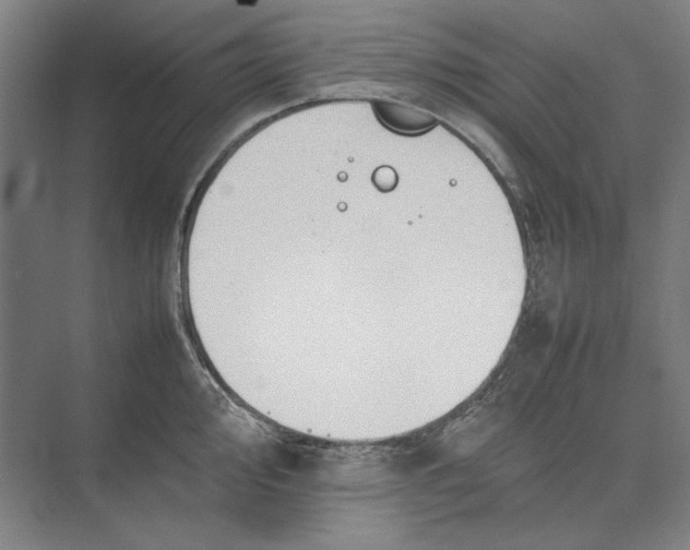 X0000074971000200609221818