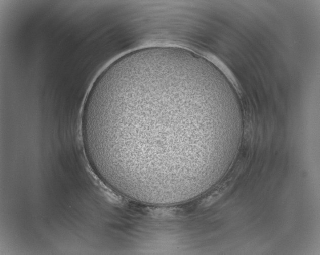 X0000074971004200609221818