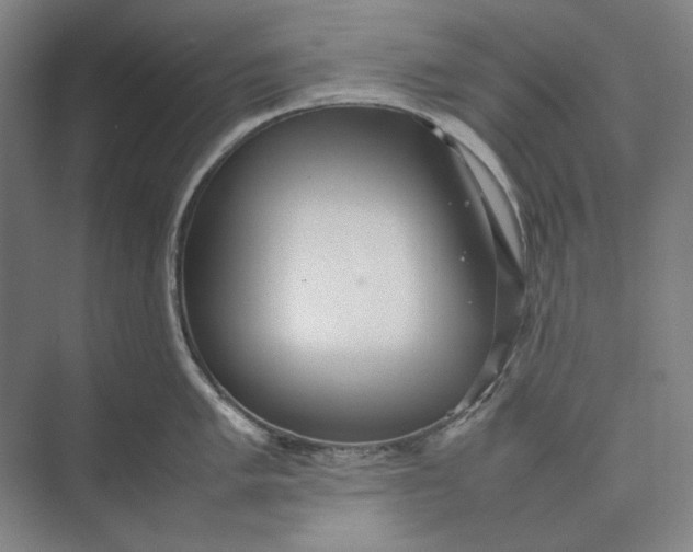 X0000074971005200609221818