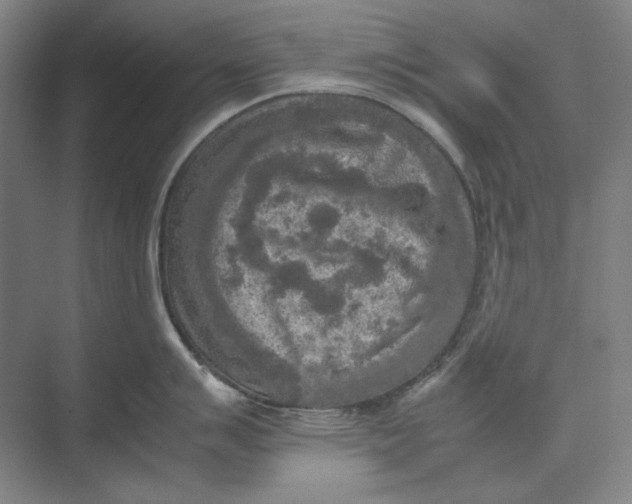 X0000074971007200609221818